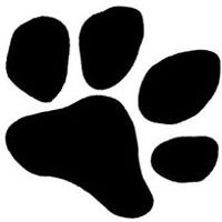 NOT_BARB_PLEASE avatar