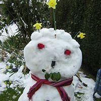 joy_singleton_5 avatar