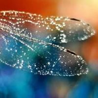 theodora_skourlis avatar