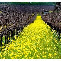 547def992dc77 avatar