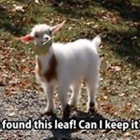 gerry_bryant_9 avatar