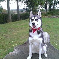 donna_needham_1460 avatar