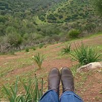 meryam_ichanti avatar