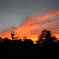 rosemarie_smit_3 avatar