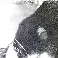 caroline_j_connor avatar