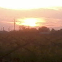 gina-mariecheeseman avatar