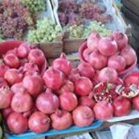 Lusine_Hanson avatar