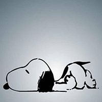 katie_weller_10 avatar