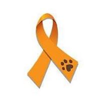 MartinAlberter avatar