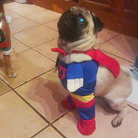 patricktangney avatar