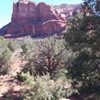 patricia_lemay_33 avatar