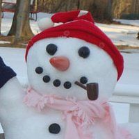 priscilla_ensing_finch avatar