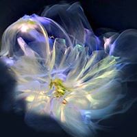 mariann_magdalene avatar