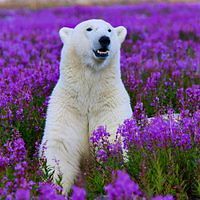 toni_newmanmaritima avatar