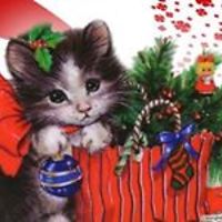 timeless_storm_1 avatar