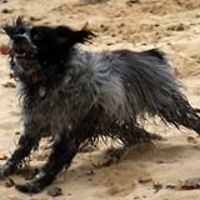 mary_bell_984 avatar