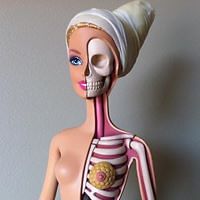 nadejda_petrova_526 avatar