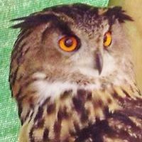 sue_gilbert_798 avatar