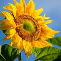 janet_s_peters_9 avatar