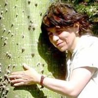 TeresaFloresEcologista avatar