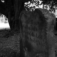 star_firewitch avatar