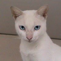 5482f1fd2830f avatar