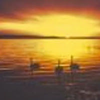 victorialemay avatar