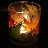 nancy_kenaston avatar