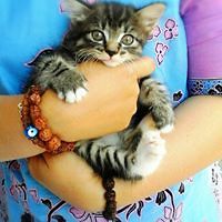 willowartstudios avatar