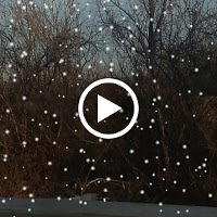 christopherbreining avatar