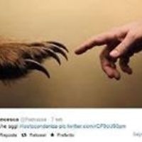 anna_pedrocchi avatar