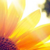 claudiaceciliacalabresecuence avatar