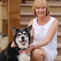 anne_staffordwade avatar