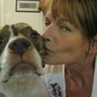 kim_m_jarriel avatar