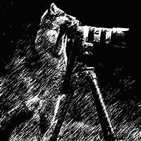 phil_janssen_33 avatar