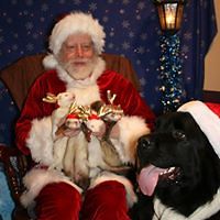 laura_holland_99999 avatar