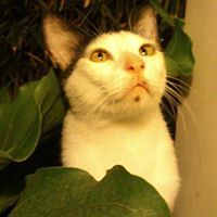 christinestephanie_pineda avatar