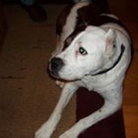 gabriel_ruiz_1004 avatar