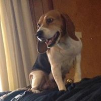 laureen_beachsweetser avatar