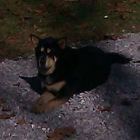 patricia_pease_7 avatar