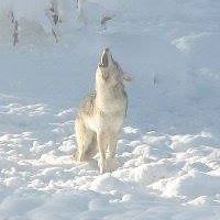 5488ef84cfe2a avatar