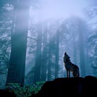 andreas_waldenmaier_9 avatar