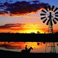 kimberly_krecic avatar