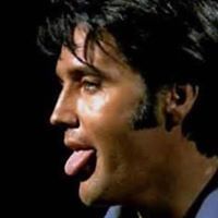 anita_dagostinofrancis_9 avatar