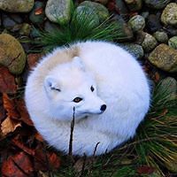 548b13ab2c46c avatar