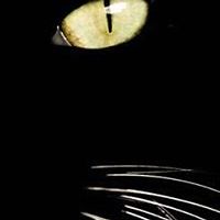 kelinda_scott avatar