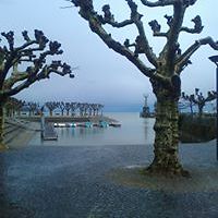 janinne_stobbe avatar