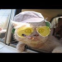 carrie_rosenberg avatar