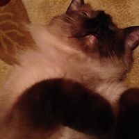 548b20740a861 avatar