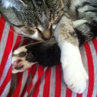 candice_tight avatar